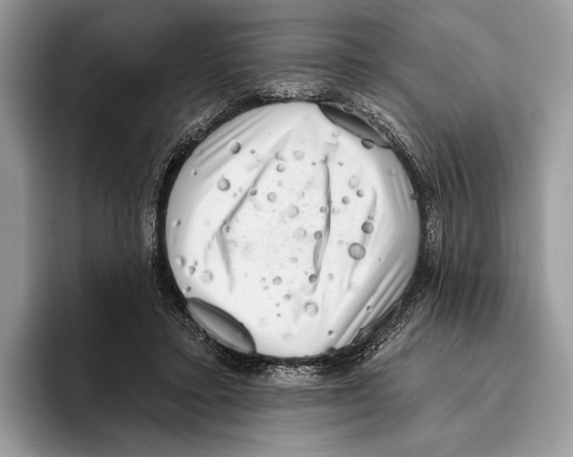 X0000095960403200802081321