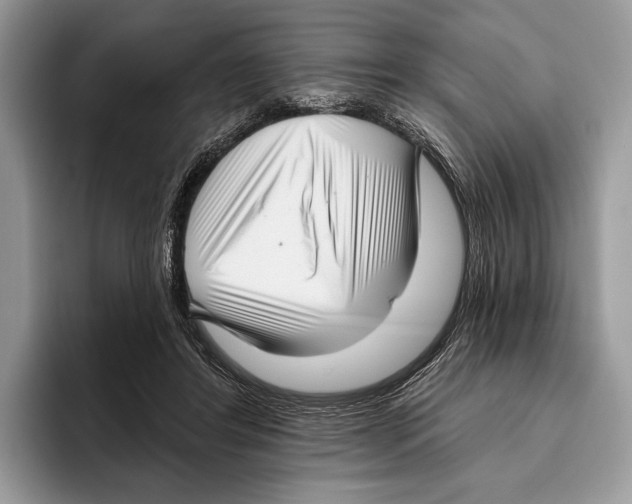 X0000095960404200802081321