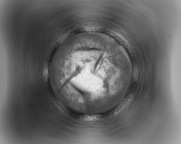 X0000095960405200802081321