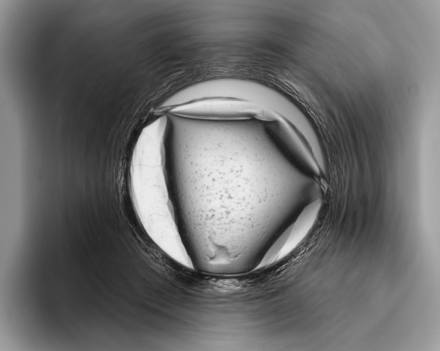 X0000095960409200802081321