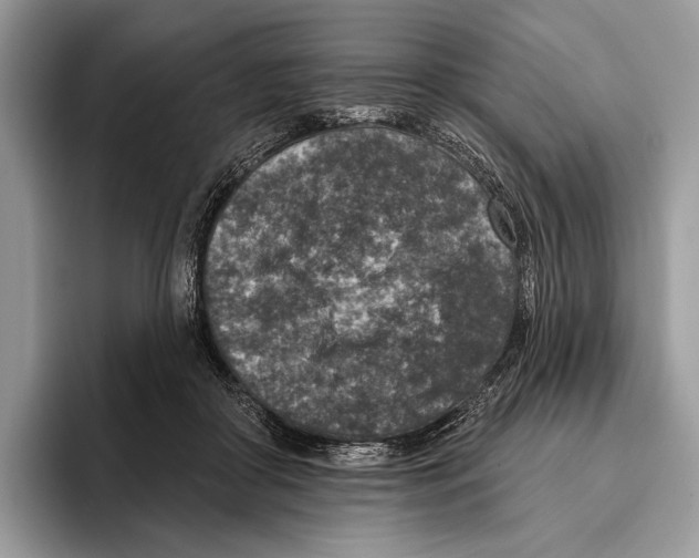 X0000095960410200802081321