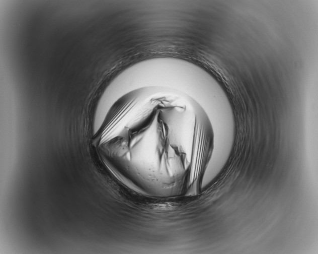 X0000095960411200802081321