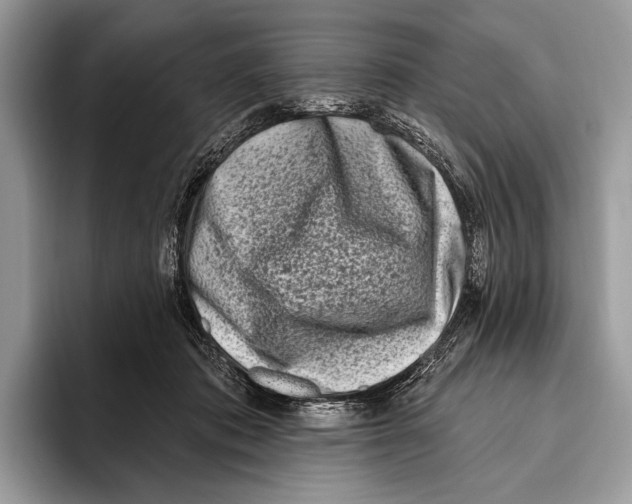 X0000095960413200802081321