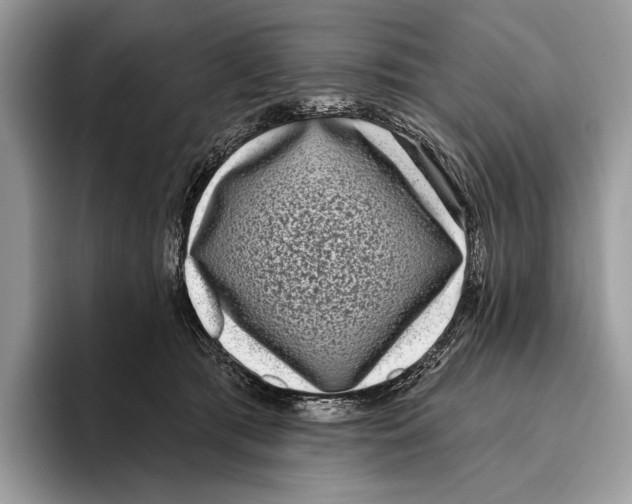 X0000095960417200802081321