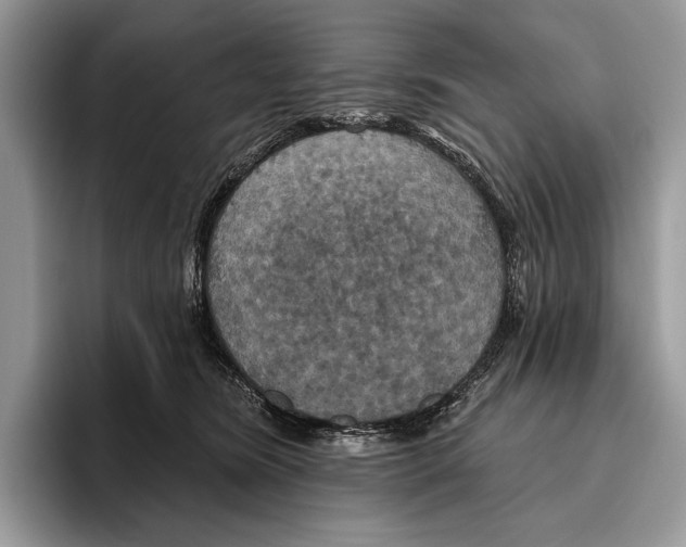 X0000095960420200802081321