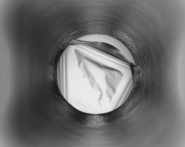 X0000095960421200802081321