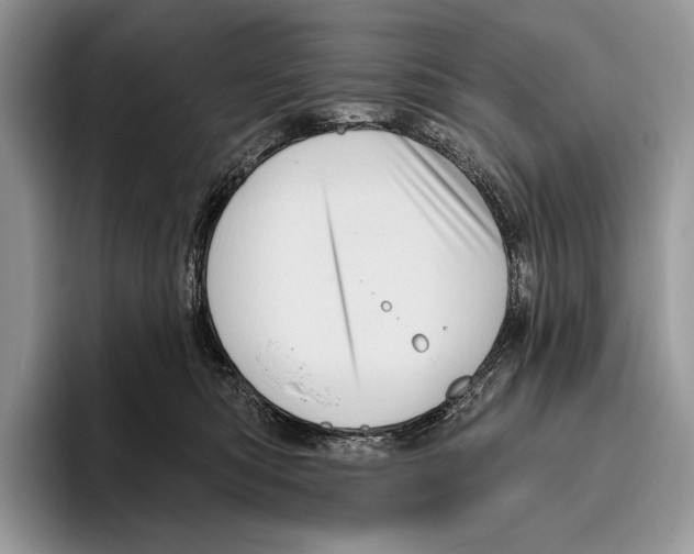 X0000095960422200802081321