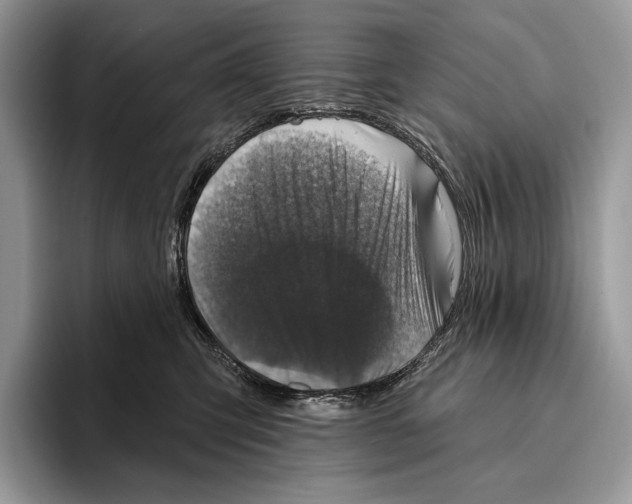 X0000095960423200802081321