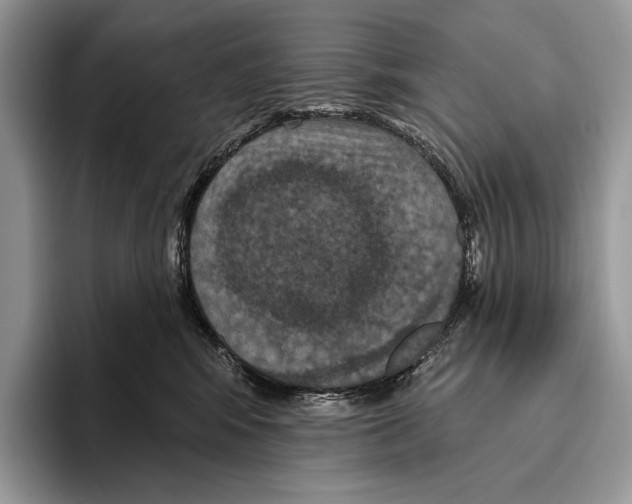 X0000095960424200802081321