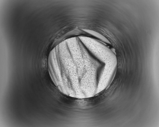 X0000095960425200802081321