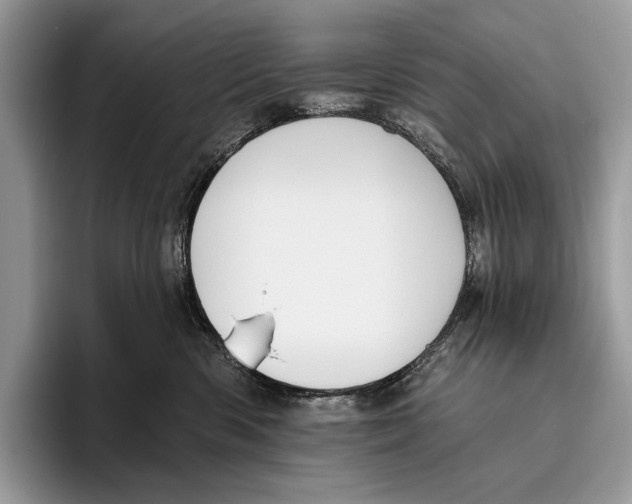 X0000095960426200802081321