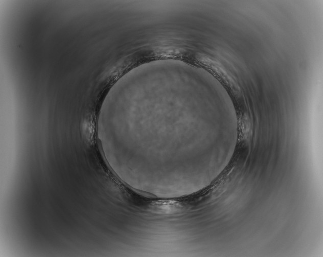 X0000095960427200802081321