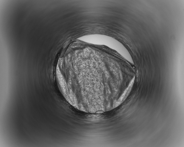 X0000095960428200802081321