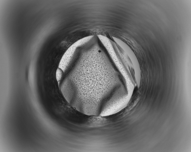 X0000095960429200802081321