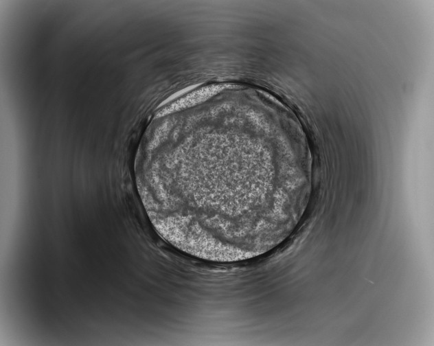 X0000095960432200802081321