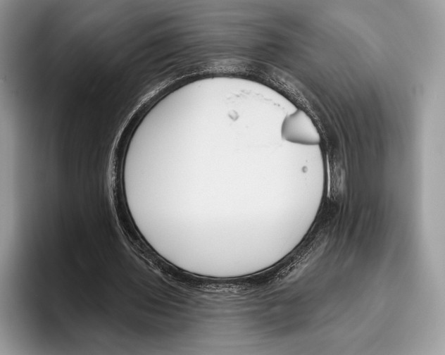 X0000095960435200802081320