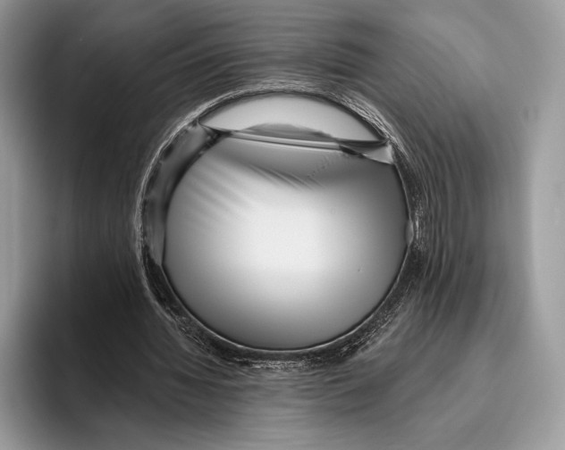 X0000095960436200802081320