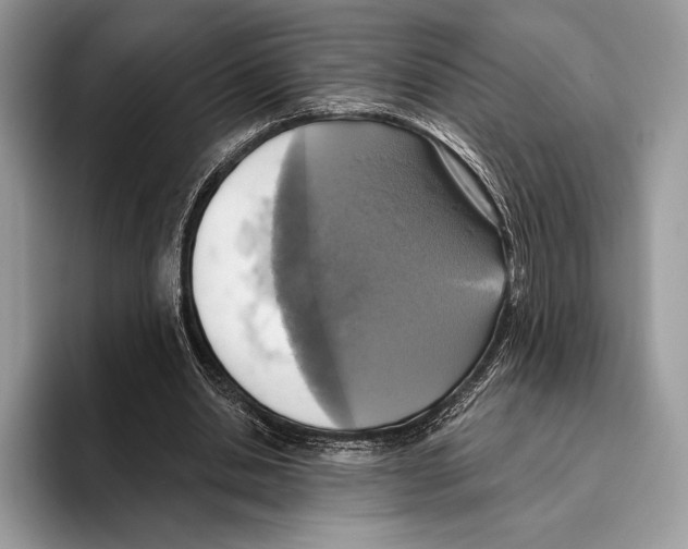 X0000095960438200802081320
