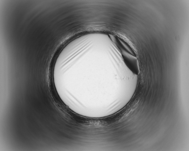 X0000095960439200802081320