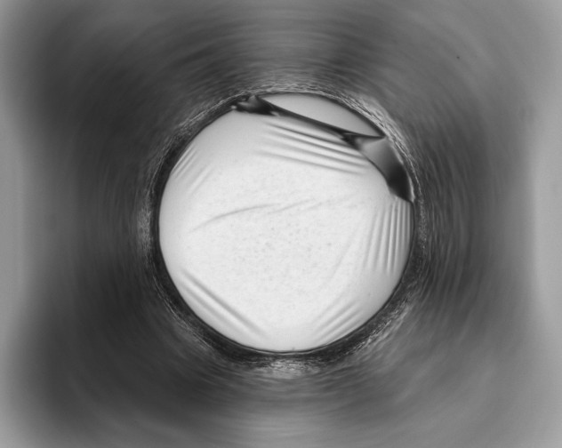 X0000095960441200802081320
