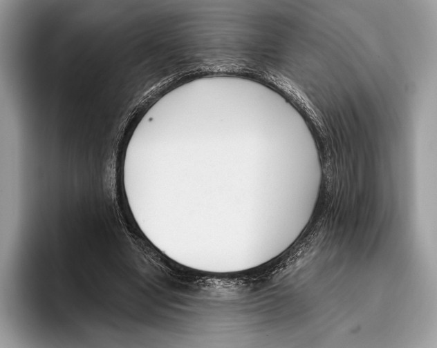X0000095960442200802081321