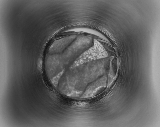 X0000095960444200802081321