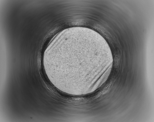 X0000095960446200802081321