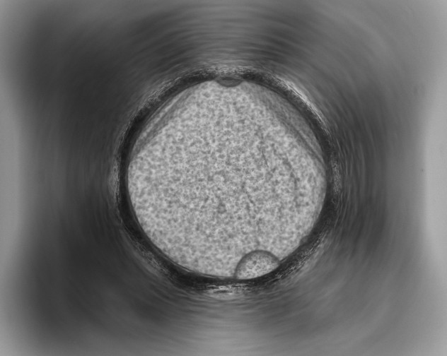 X0000095960447200802081321