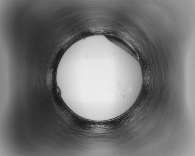 X0000095960448200802081321