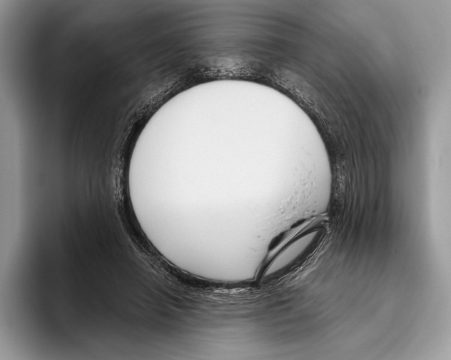 X0000095960450200802081321
