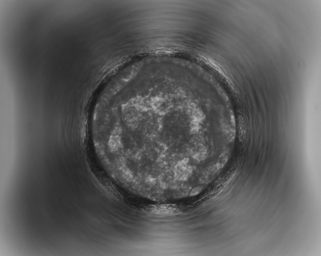 X0000095960451200802081321