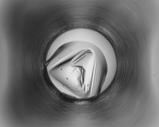 X0000095960452200802081321