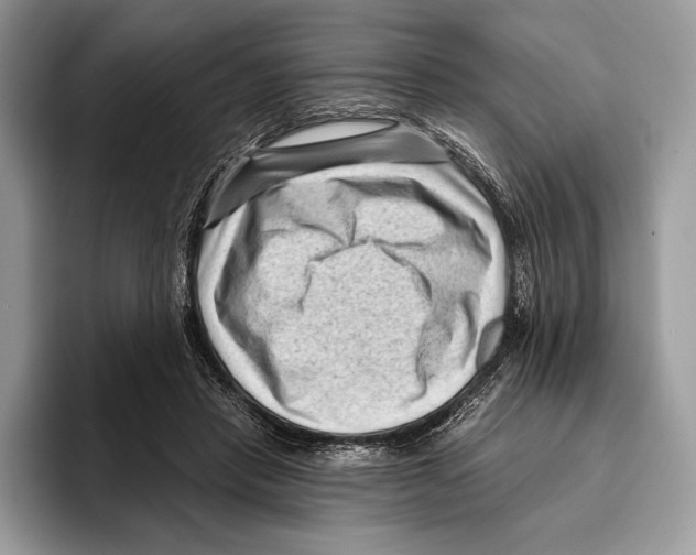 X0000095960453200802081321