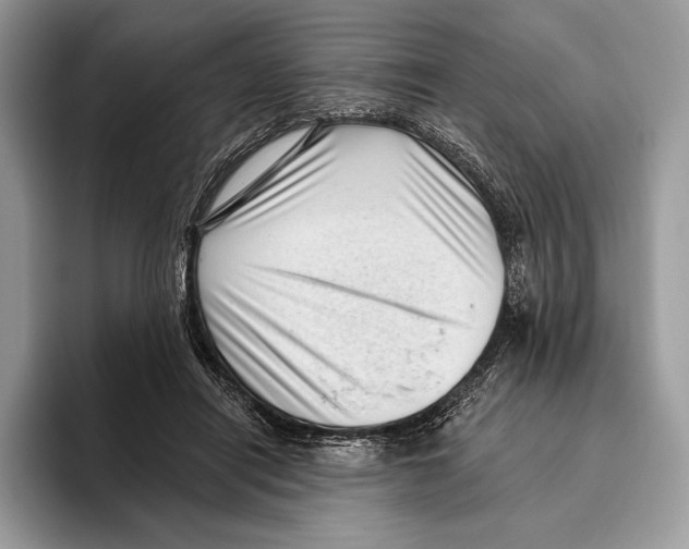 X0000095960454200802081321