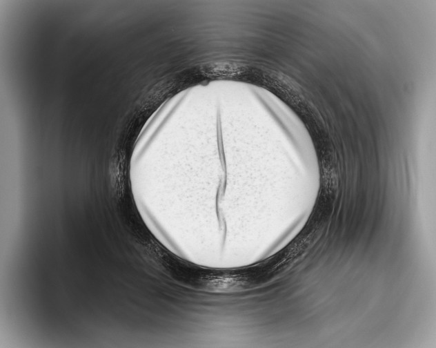 X0000095960460200802081321