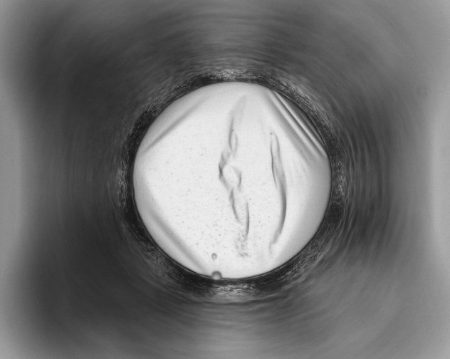 X0000095960461200802081321