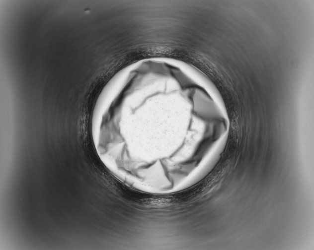X0000095960462200802081321