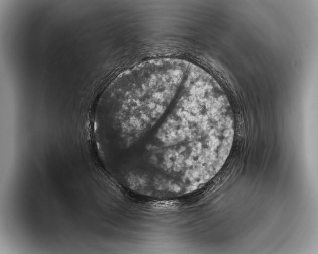X0000095960465200802081321