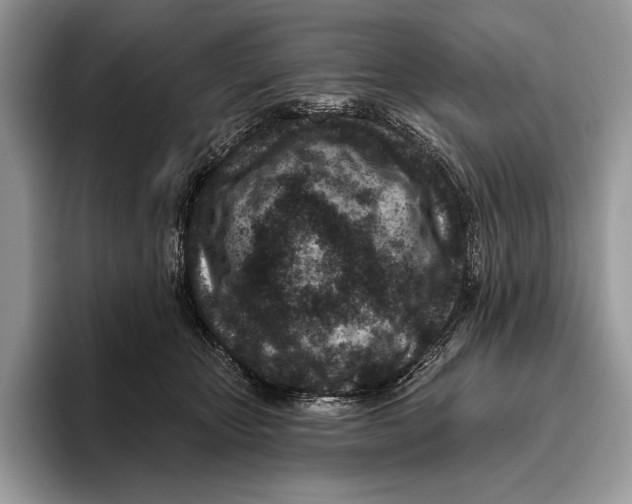 X0000095960467200802081321