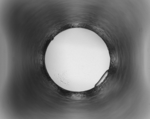 X0000095960470200802081321