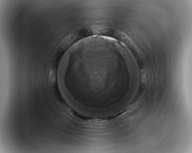 X0000095960471200802081321