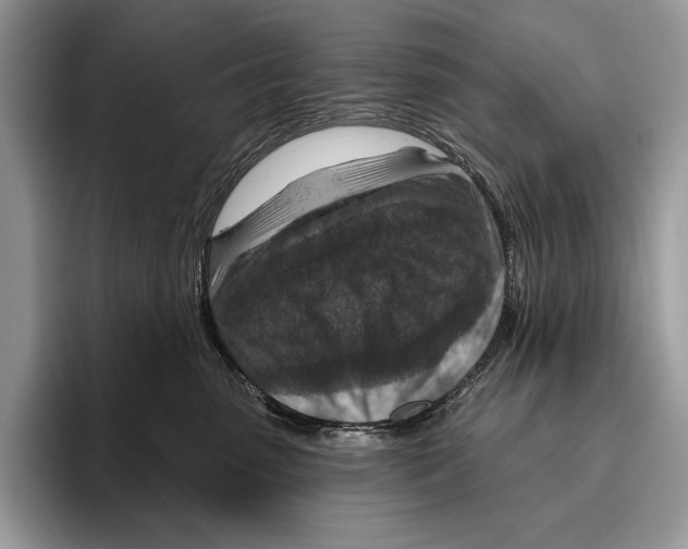 X0000095960475200802081321