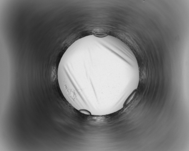 X0000095960478200802081321