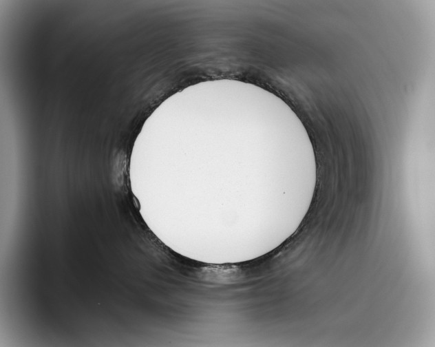 X0000095960480200802081321