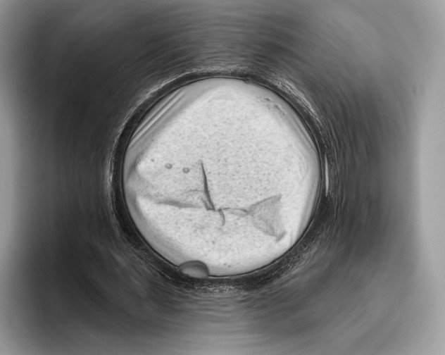 X0000095960483200802081320
