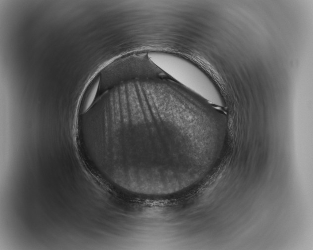 X0000095960484200802081320