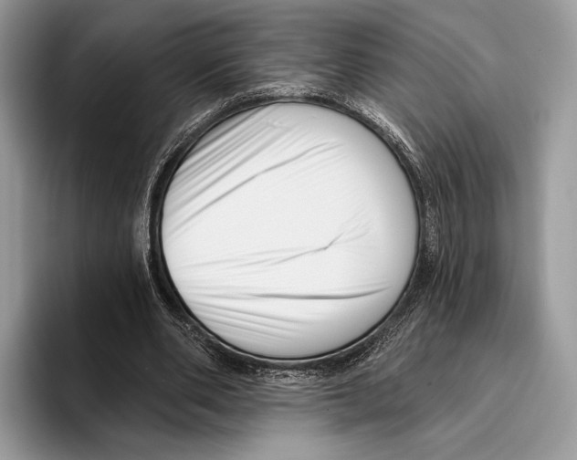 X0000095960486200802081320