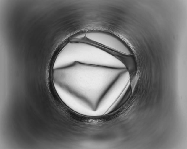 X0000095960487200802081320