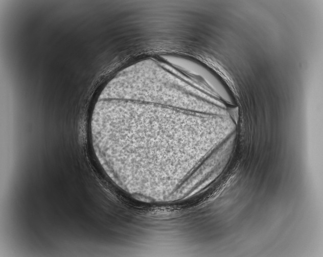 X0000095960489200802081320