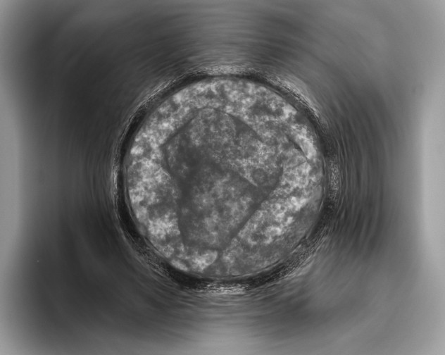 X0000095960491200802081320